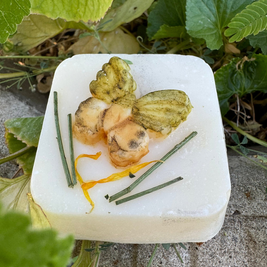 all natural soap, cold process, essential oils, lavender and bergamot.
