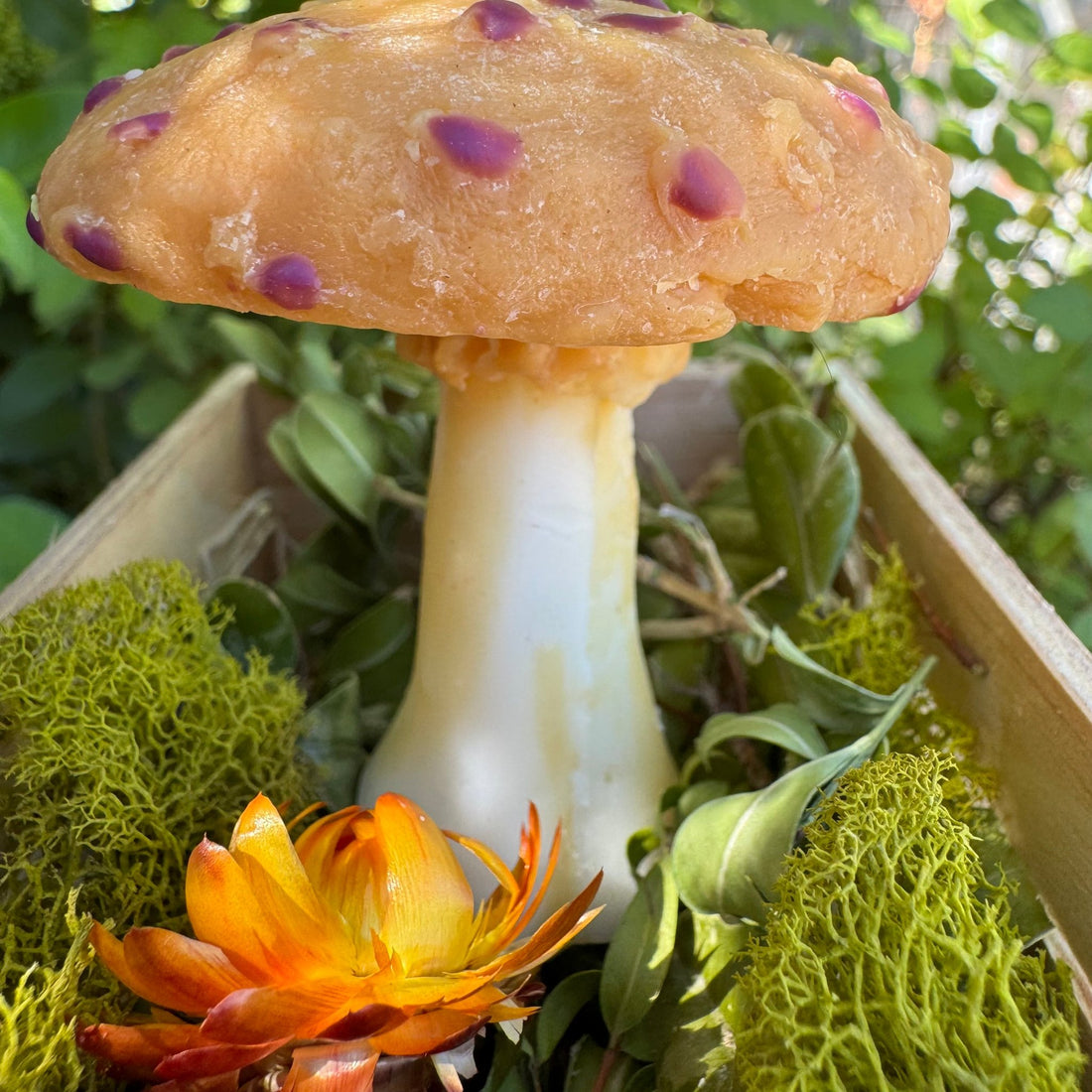 soy and beeswax mushroom candle, tan cap with brown spots.